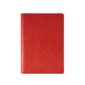 Бумажник для авто и паспорта, 95*132, красный кожзам